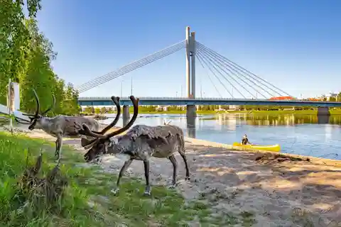Rovaniemi: Kulturelle Kanutour