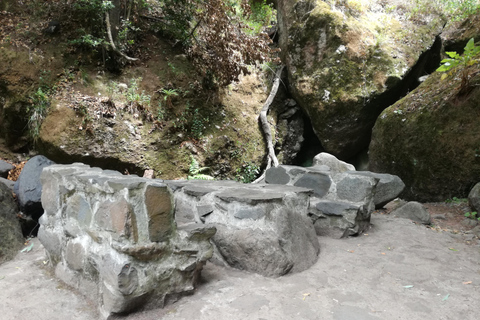 From Funchal: Levada Nova Hiking Tour with stopover at beach Nova friday