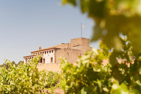 Barcelona: Montserrat Montserrat med vingård, lunch och tågalternativ