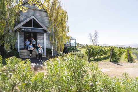 Richmond: Coal Valley Wijn en Gin Tours met wijngaardlunch