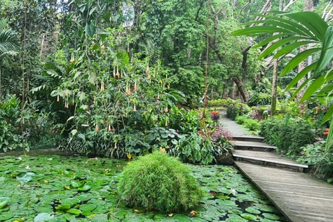 Nadi: Private Tour with Temple, Markets, and Hot Springs