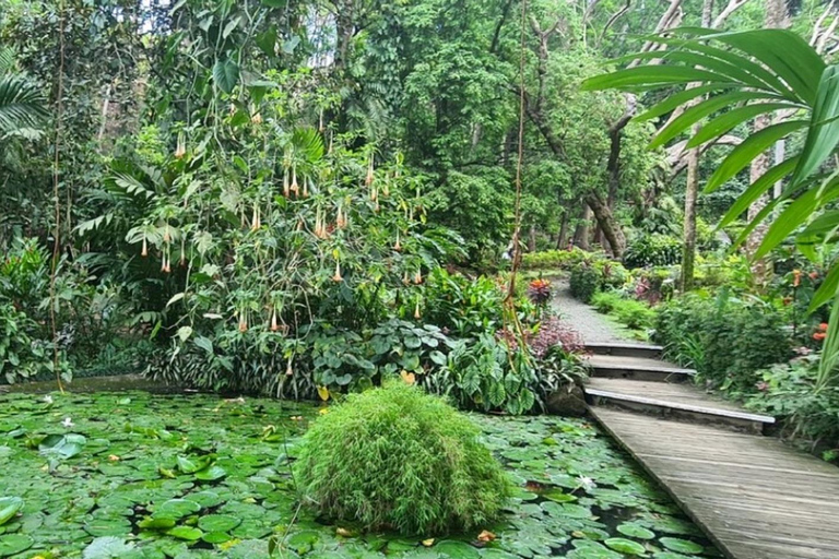 Nadi: Private Tour with Temple, Markets, and Hot Springs