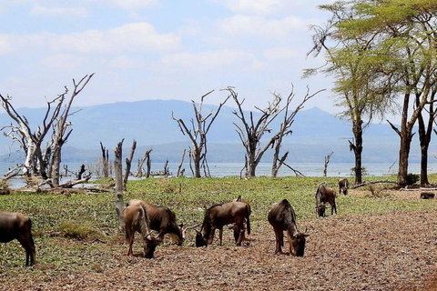 Nairobi: Crescent Island Sanctuary Day Trip with Lunch Nairobi: Crescent Island Sanctuary private day Trip