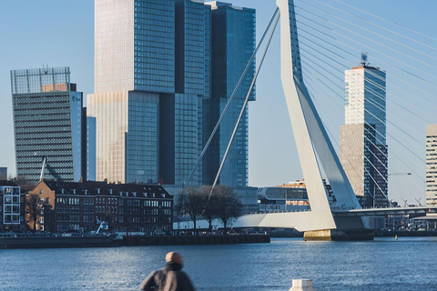 Amsterdam: Hague, Delft, and Rotterdam Day Trip