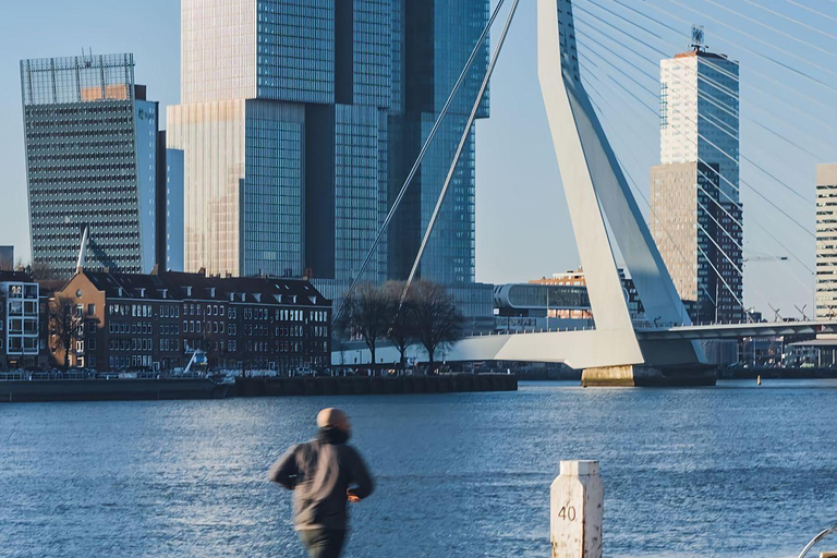 Amsterdam: Hague, Delft, and Rotterdam Day Trip