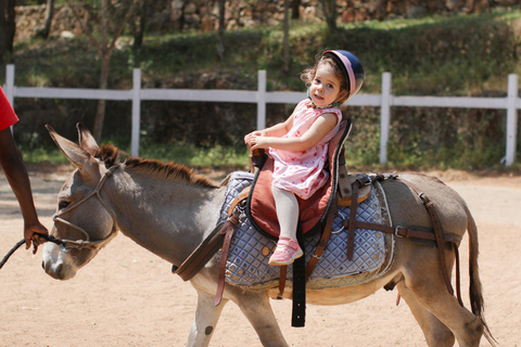 Experiência de passeios de burro para criançasExperiência em passeios de burro para crianças