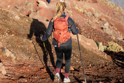 Mount Kenya: 4-Day Point Lenana Summit Adventure