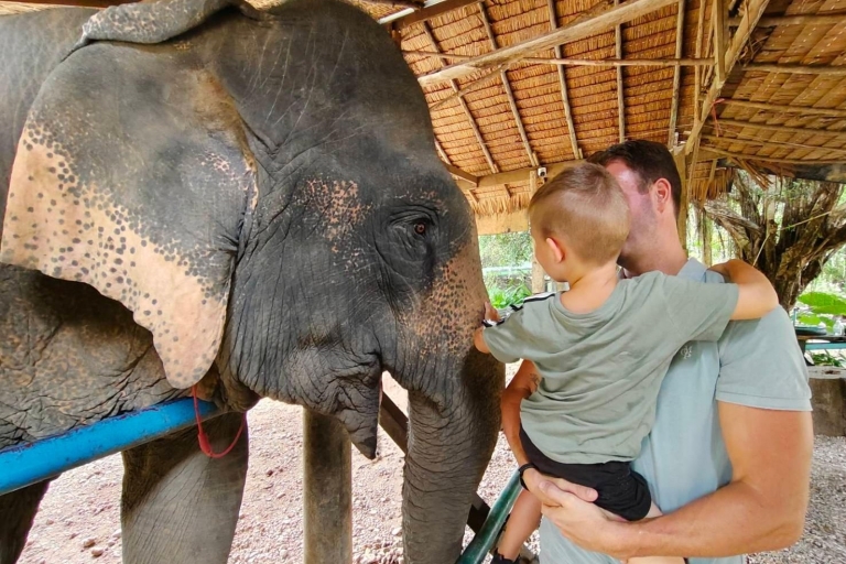 Krabi: Khao Sok Elefantenrettungszentrum & BambusfloßpaddelnKhao Sok Elephant Rescue Center & Bambusfloßpaddeln - Teilen