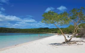  - Canarie.it