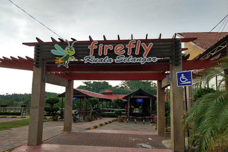 Firefly, Eagle Feeding, and Blue Tears Kuala Selangor Tour