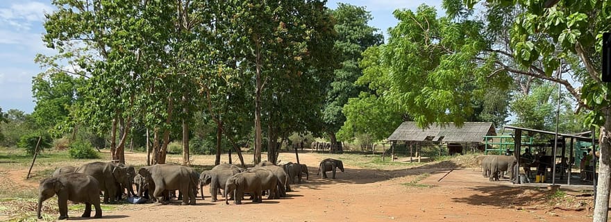 Safari dans le parc national d'Udawalawe depuis le port d'Hambantota