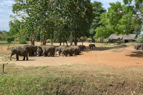 Udawalawe National Park Wildlife Safari von Mirissa aus