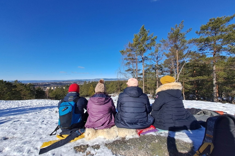 Oslo : Randonnée panoramique avec un guide norvégien et repas traditionnelOslo : Randonnée, cuisine norvégienne et vue à couper le souffle