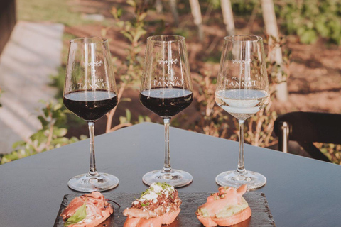 From Colonia: Pueblo Tannat Winery Experience Wine & Cheese Tasting