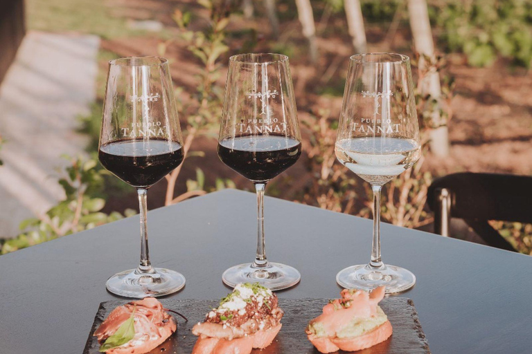 From Colonia: Pueblo Tannat Winery Experience Wine & Cheese Tasting