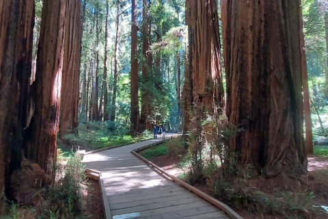 Von San Francisco aus: Muir Woods und Sausalito Gruppentour