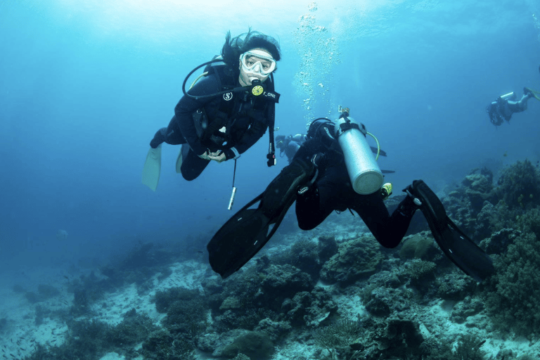 Pattaya: Fun dives in Pattaya and Samaesarn with transfer 3 Dives