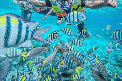 Lombok: Pink Beach & Gili Petelu Private Boat Tour