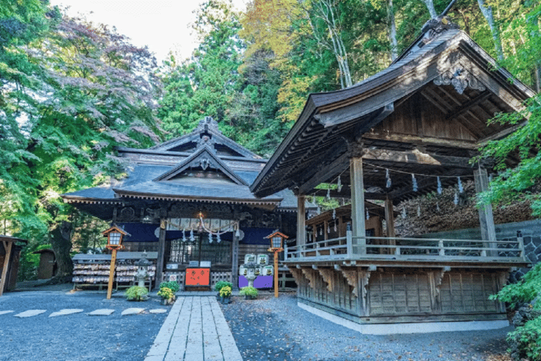 Wycieczka na górę Fuji: jezioro Kawaguchi, świątynia, wioska uzdrowiskowa i pagoda8:30 Wyjazd ze stacji Shinjuku — bez lunchu