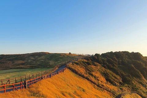 Jeju: ruta de senderismo por un pequeño volcán al amanecer (3 horas, recogida)Jeju: Sunrise Small Volcano Hike (3 Hours, Pick-up)