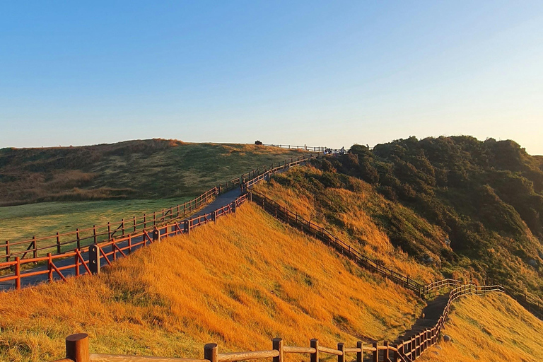 Jeju: ruta de senderismo por un pequeño volcán al amanecer (3 horas, recogida)Jeju: Sunrise Small Volcano Hike (3 Hours, Pick-up)