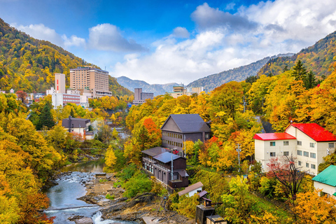 From Sapporo: Hoheikyo Dam, Jozankei & Lake Shikotsu Tour Shared Tour, Meet at Sapporo Station