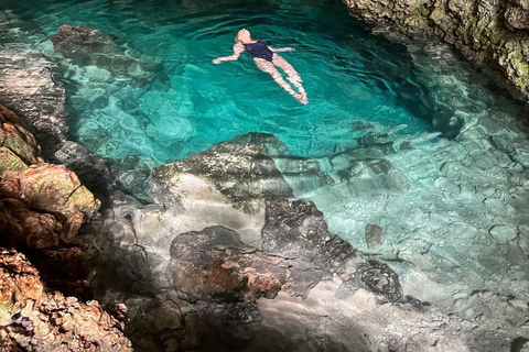 Tour dei delfini e nuoto con le tartarughe marine e grotta di Kuza