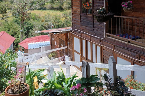 Salento: Cocora Valley, Catch Trout for Lunch & Play Tejo