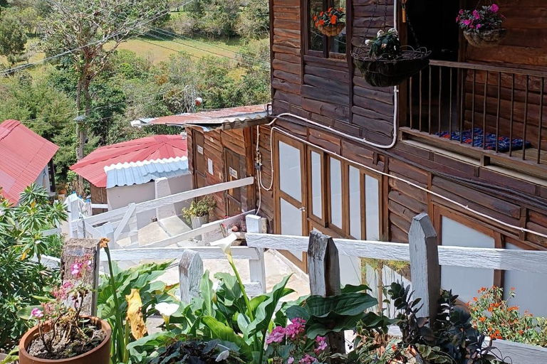 Salento: Cocora Valley, Catch Trout for Lunch & Play Tejo