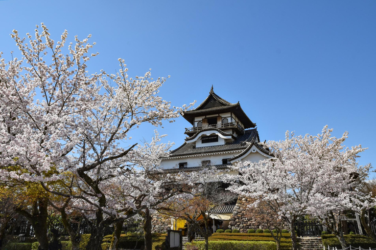 From Nagoya: Inuyama Day Trip