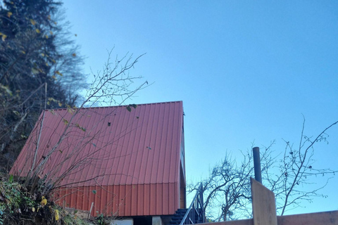 Vanuit Batumi: wijnproeverij met eigen vervoer in het bergachtige AdjaraVanuit Batumi: zelf rijden en wijn proeven in het bergachtige Adjara