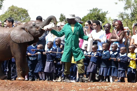 Desde Nairobi: Excursión de un día al Centro de la Jirafa y al Orfanato de Elefantes