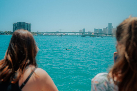 Miami: Biscayne Bay Architecture, Design & History Tour