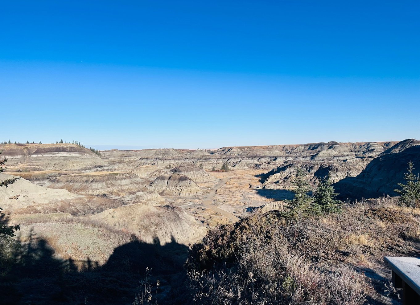 Badlands-tur: Drumheller med museum, hoodoos og dinosaurer