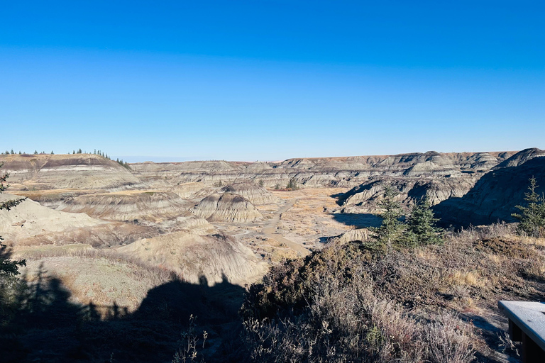 Badlands Tour: Drumheller with Museum, Hoodoos & Dinosaurs Booking Option for Summer 2026