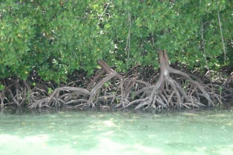 Malindi/Watamu: Safari Blue Tour with Lunch & Snorkeling