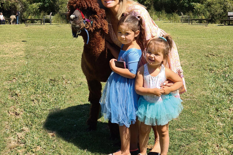 From Brisbane: Lamington National Park Rainforest Tour