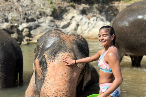 Chiang Mai 2-Day: Good Morning Elephant & Overnight Homestay