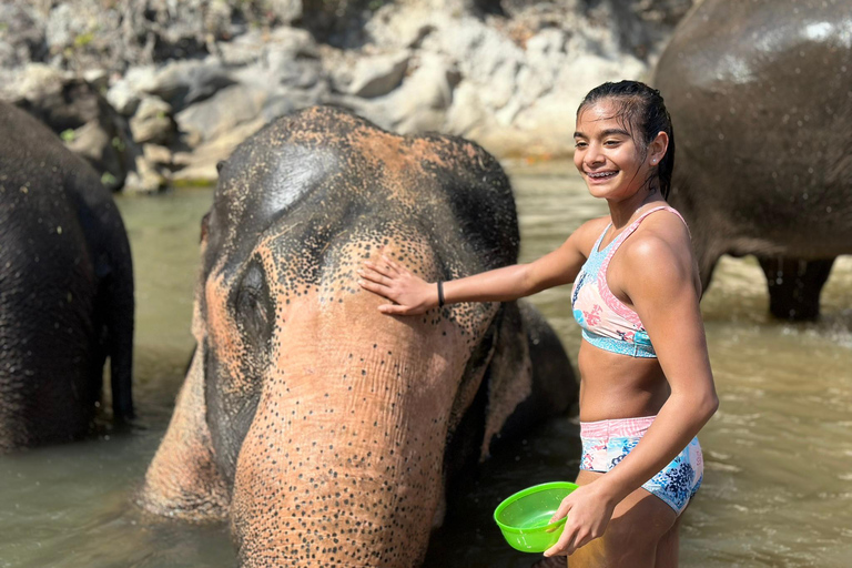 Chiang Mai 2-Day: Good Morning Elephant & Overnight Homestay