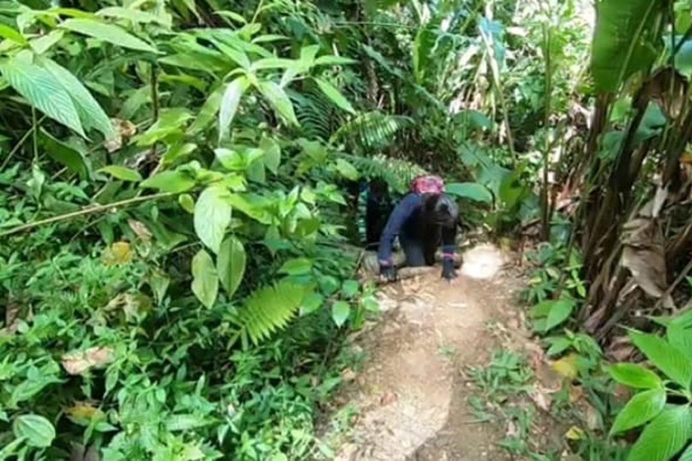 Trinidad: Excursión a la Cascada del Rincón