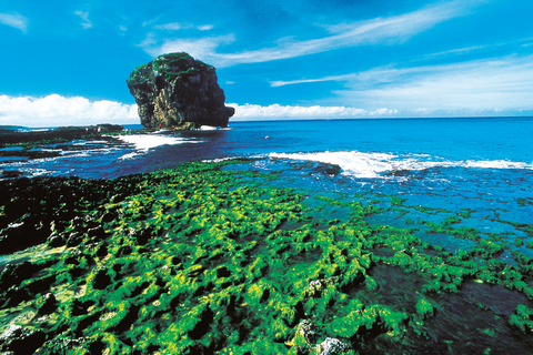 From Taipei: Private 4-Day West & South Taiwan Tour SOLO Traveler