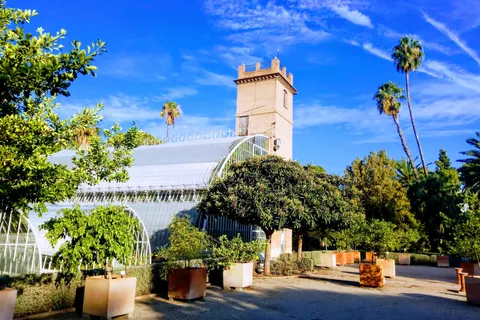 Ruta Guiada Jardín Botánico de Valencia