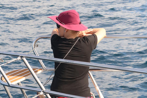 Bartolomé Island: Premium Yacht Experience with Hike and Snorkel