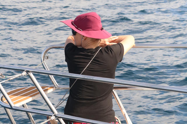 Bartolomé Island: Premium Yacht Experience with Hike and Snorkel