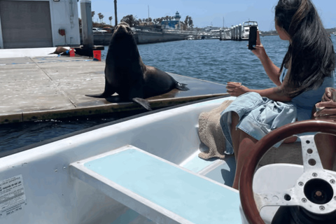 马里纳德尔雷：1小时游船之旅玛丽娜德尔雷：1小时游船之旅