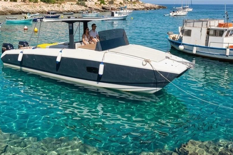 Taormina: Sunset Dolphin Tour by Catamaran with Aperitif