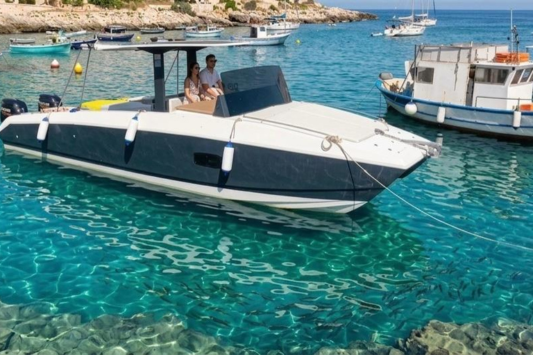 Taormina: Sunset Dolphin Tour by Catamaran with Aperitif