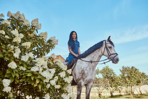 From Cannes: Private Horseback Ride with Mountain Views Private Horseback Ride with Mountain Views (With Pickup)