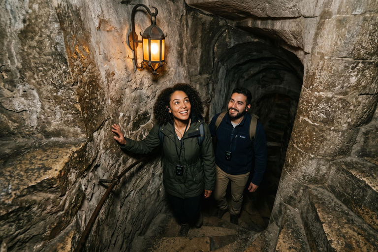 Bucharest : Dracula’s Castle, Peles Castle & Medieval Brasov Audio guide in +24 languages