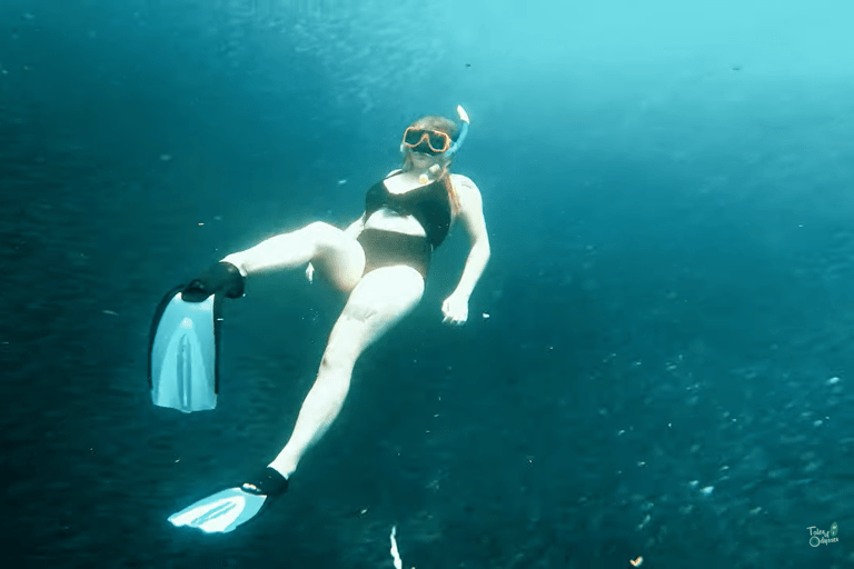 Cebu: Przygoda z nurkowaniem z rekinami wielorybimi w Oslob i Moalboal